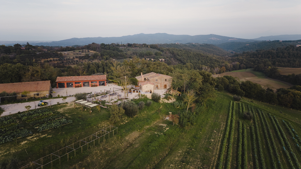 Quintosapore is a biodiversity-driven farm, located on the border between Tuscany and Umbria (photo by Marco Valmarana)